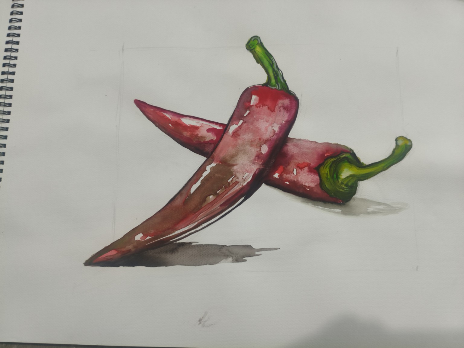 Red peppers — watercolour by Gönül Demir