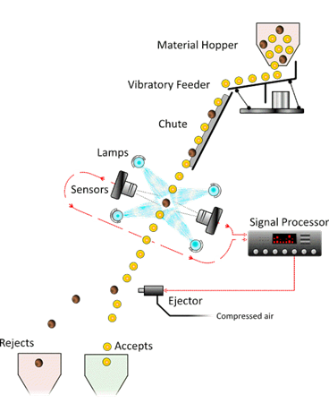 Optical sorting machine separating accepted and rejected grains