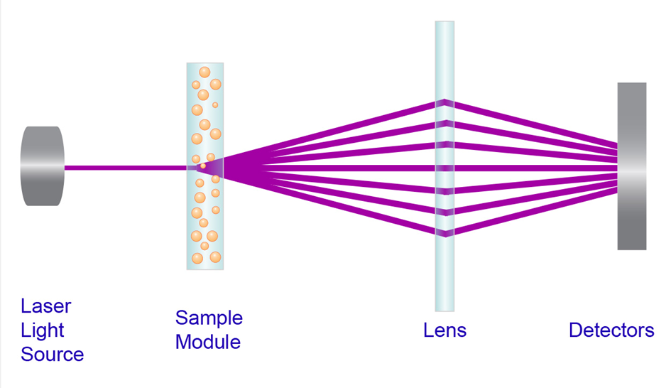 Laser diffraction particle measurement system with sample, lens, and detectors